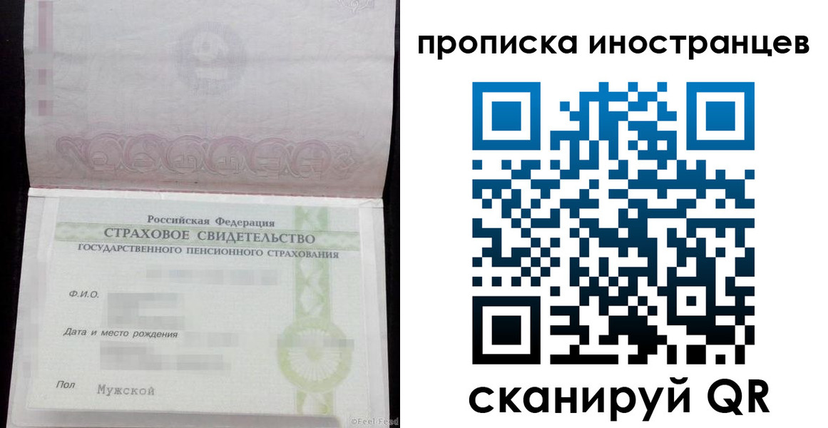 прописка гарантия в Димитровграде
